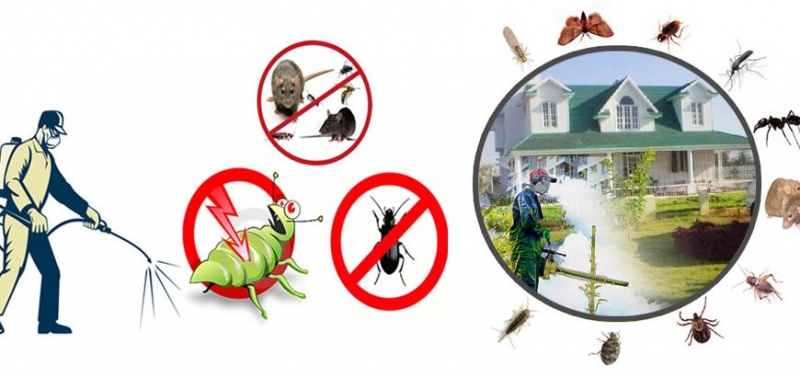 Join as a Pest Control