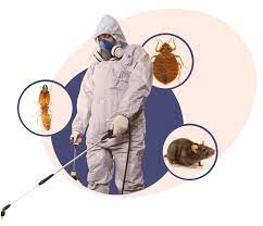 General Pest Management (Annual maintenance )