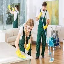 Home basic cleaning